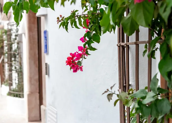 Maison Salva - Hotel Boutique